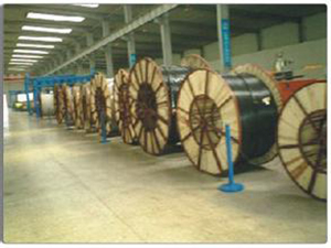 上海扁平电缆行业上升空间巨大_国内新闻_资讯_线缆世界网