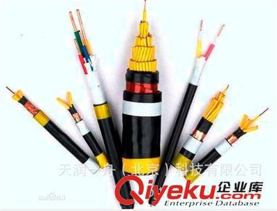黑河DJYPV1*2*1.0电缆生产厂家|黑河计算机电缆全国最低价格图片|黑河DJYPV1*2*1.0电缆生产厂家|黑河计算机电缆全国最低价格产品图片由天润一舟(北京)科技公司生产提供-