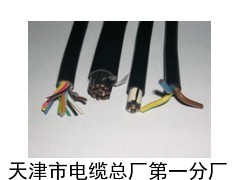 阻燃监测电缆 UCPJQ 安全监测的可靠选择