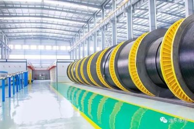 保障“吉电入鲁”项目顺利落地，远东电缆再展实力