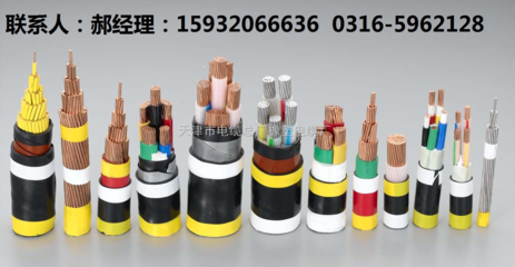 RVVZ 1*35 电源电线价格解析与天津市电缆总厂橡塑电缆厂产品介绍